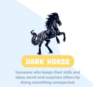 meaning of dark horse in hindi